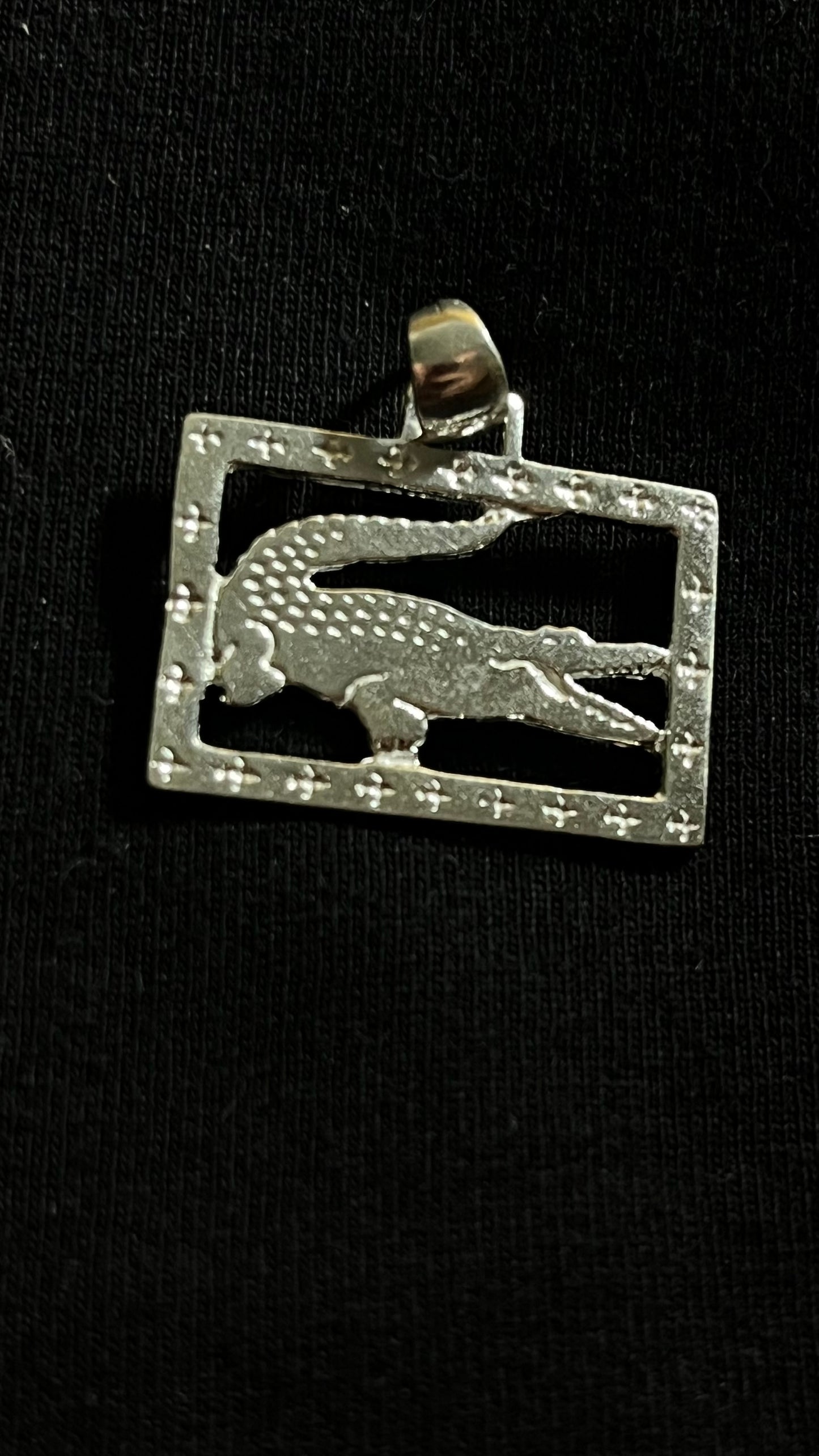 PINGENTE LACOSTE