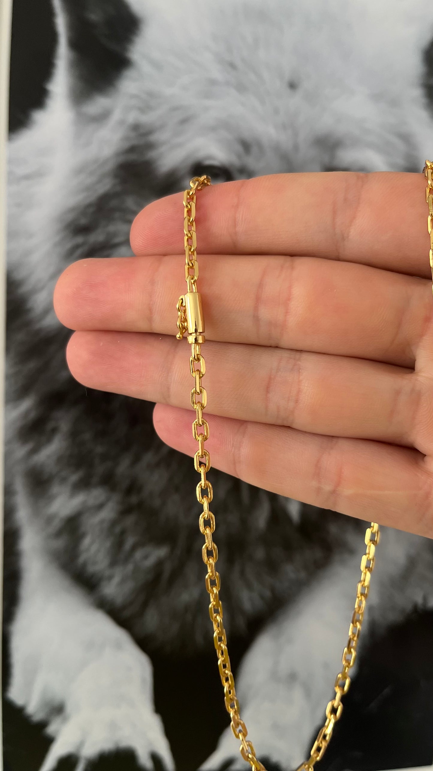 CORRENTE CARTIER/CADEADO 70CM X 3MM